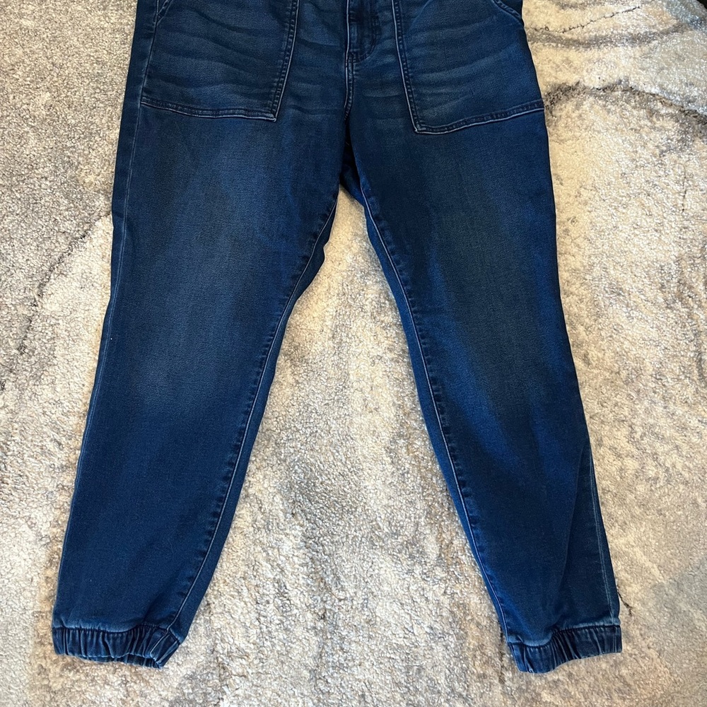 American Eagle Outfitters Indigo Denim Joggers soft Knit Size 18 Short